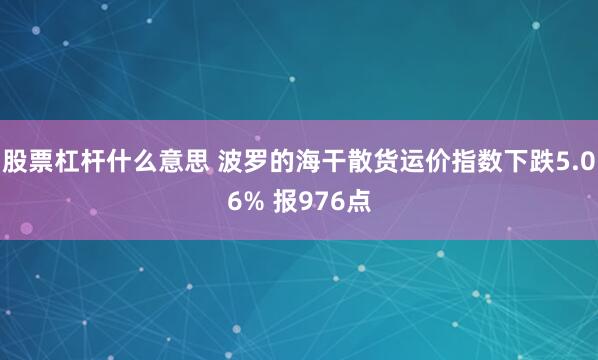 股票杠杆什么意思 波罗的海干散货运价指数下跌5.06% 报976点