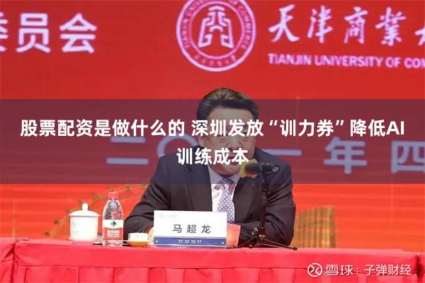 股票配资是做什么的 深圳发放“训力券”降低AI训练成本