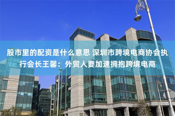 股市里的配资是什么意思 深圳市跨境电商协会执行会长王馨：外贸人要加速拥抱跨境电商