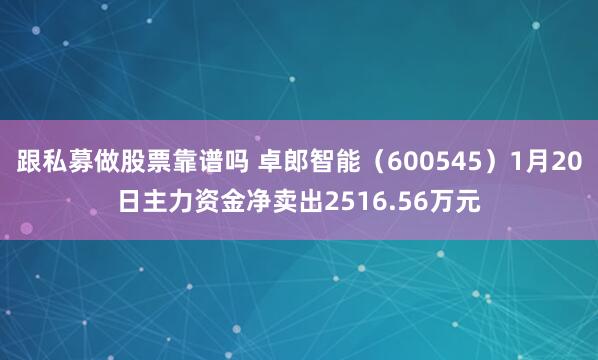 跟私募做股票靠谱吗 卓郎智能（600545）1月20日主力资金净卖出2516.56万元