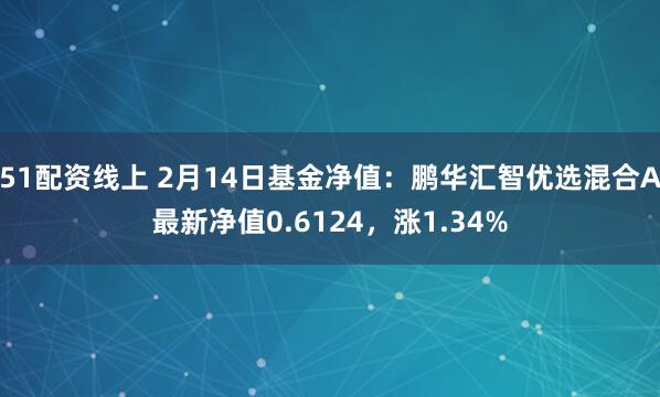 51配资线上 2月14日基金净值：鹏华汇智优选混合A最新净值0.6124，涨1.34%