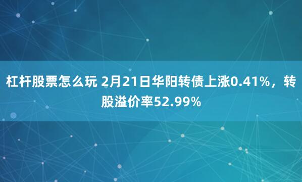 杠杆股票怎么玩 2月21日华阳转债上涨0.41%，转股溢价率52.99%