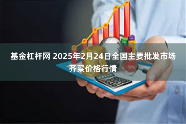 基金杠杆网 2025年2月24日全国主要批发市场芥菜价格行情