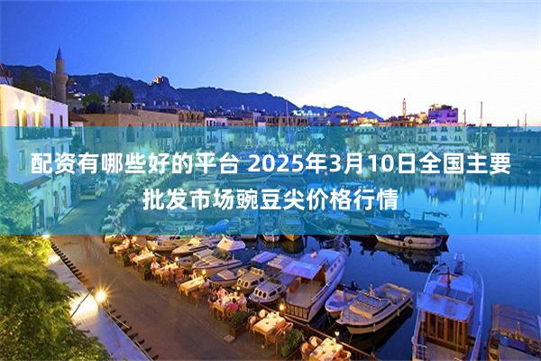 配资有哪些好的平台 2025年3月10日全国主要批发市场豌豆尖价格行情