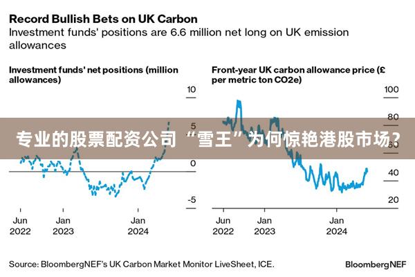 专业的股票配资公司 “雪王”为何惊艳港股市场？